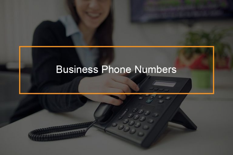 Business phone numbers ultimate guide for entrepreneurs FlashMob